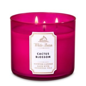 Bath & Body Works Cactus Blossom 3-Wick Candle